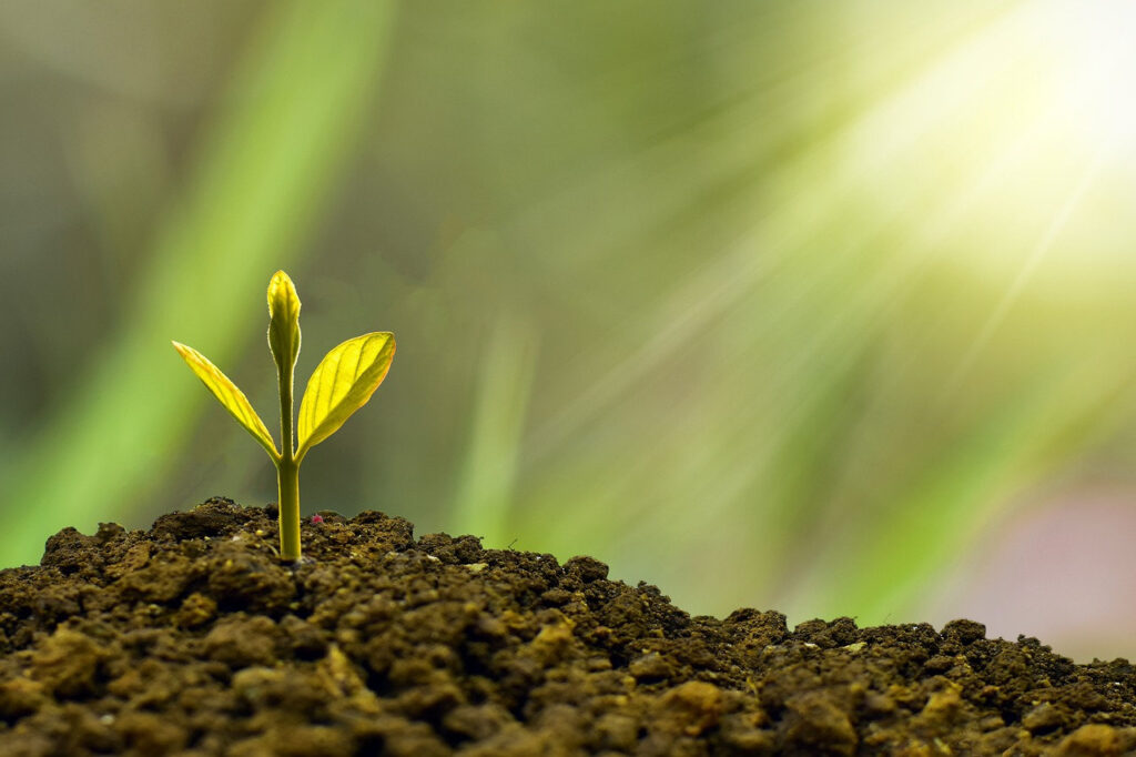 The 4 Ways to Grow Your Business
