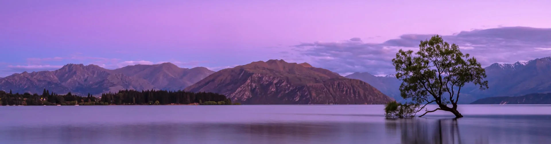 Resilience, CALM and Self-discovery