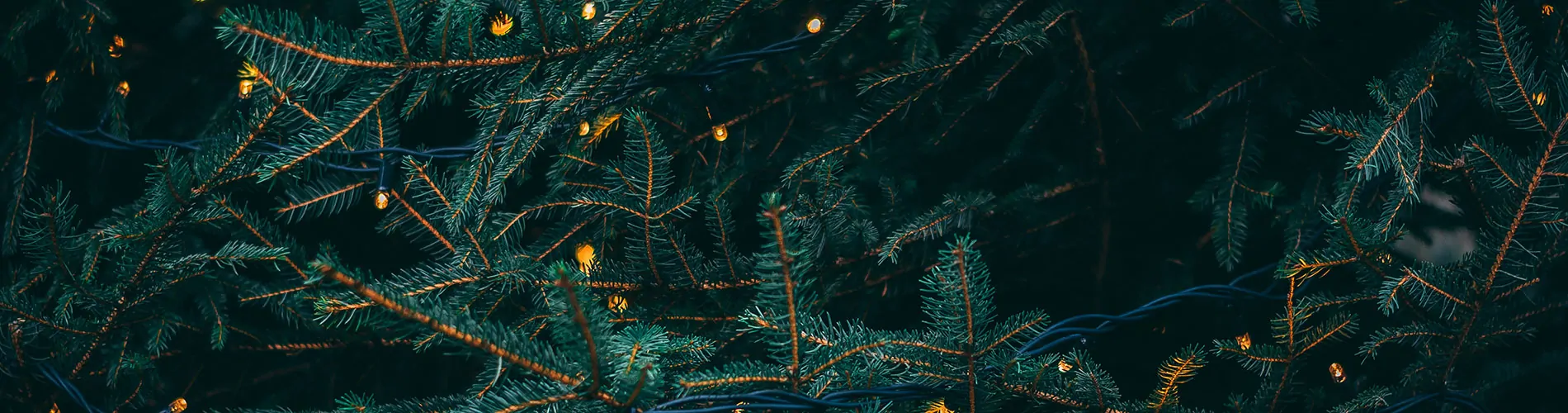 Relationships, Christmas and Stress