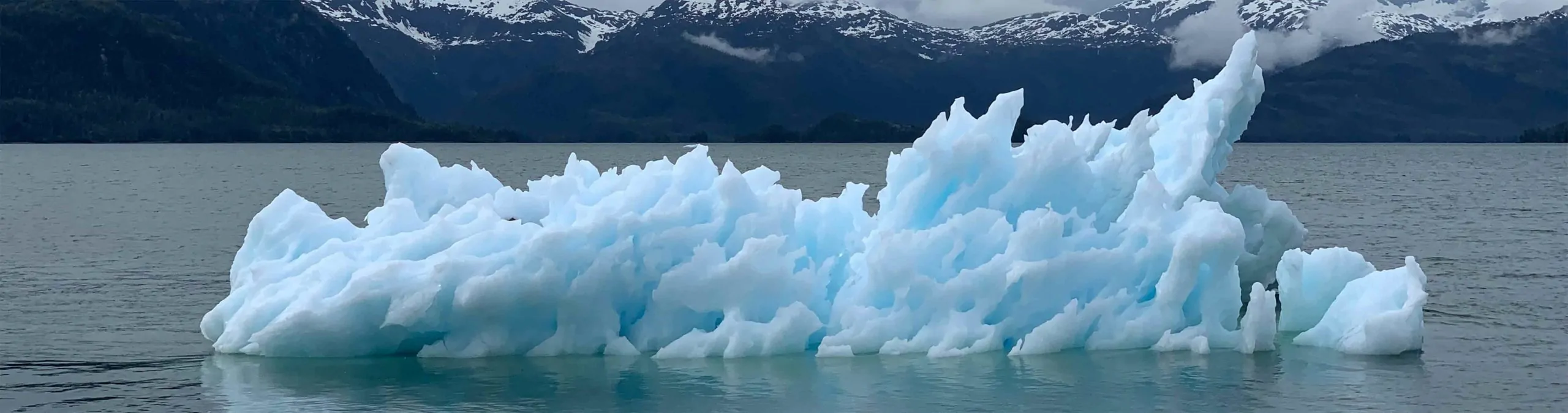 Hydration, Climate Change, Ethical Portfolios