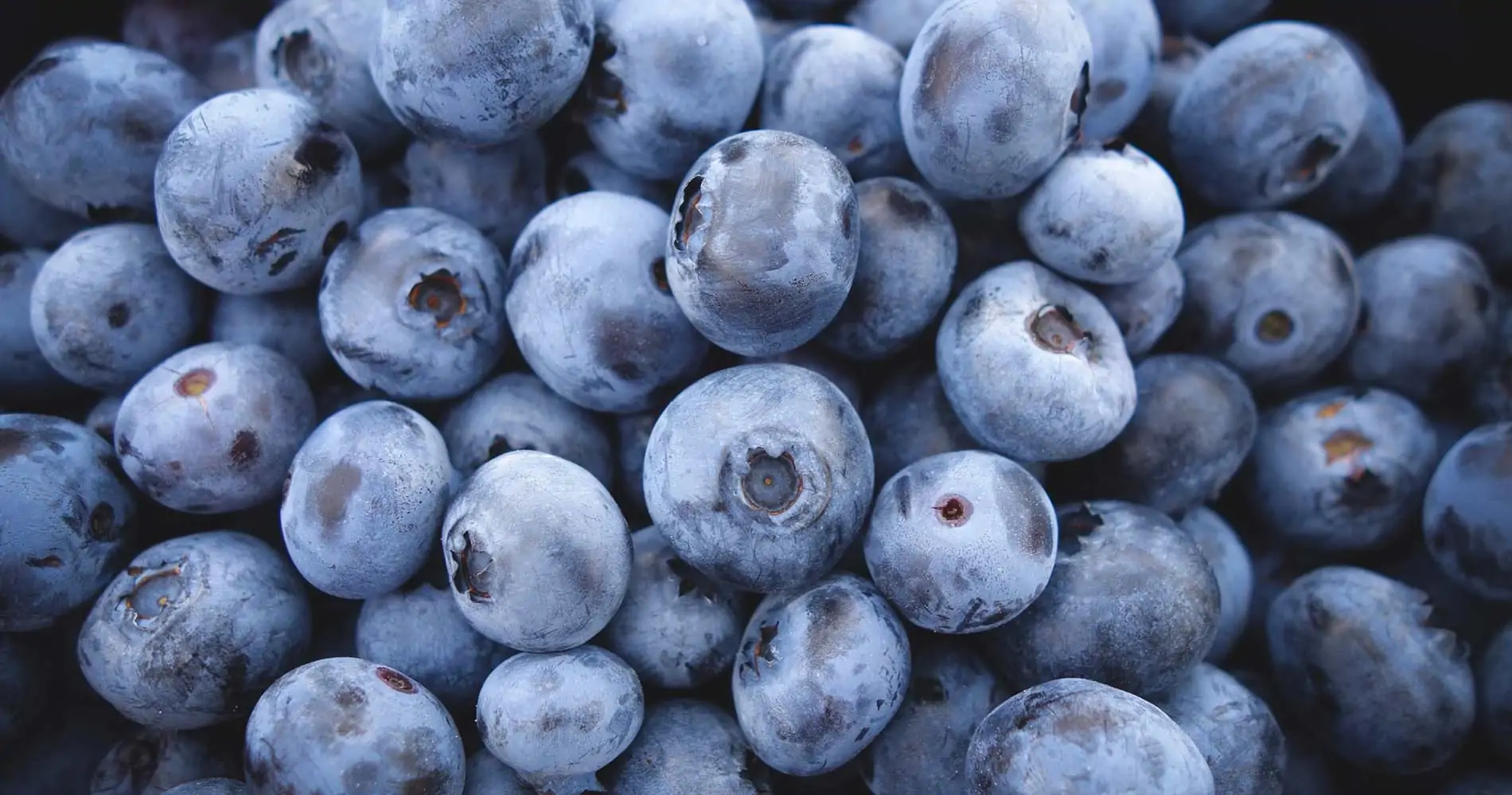 Health, Immunity and Preparing for the next steps