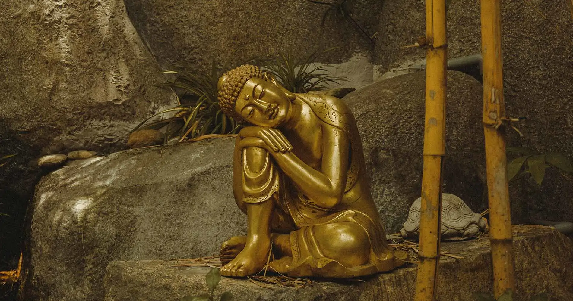 Keeping Goals Secret, Headspace and Mindfulness