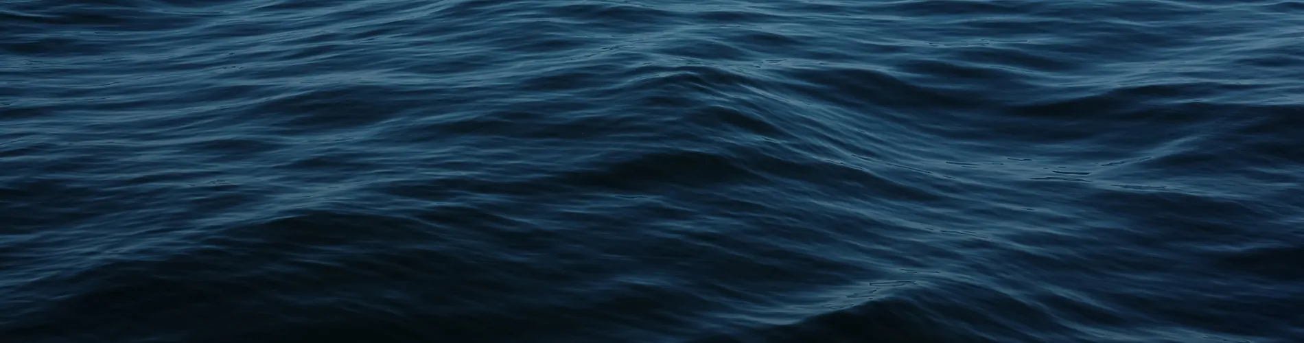 Ocean Protection, Talent and Legacies