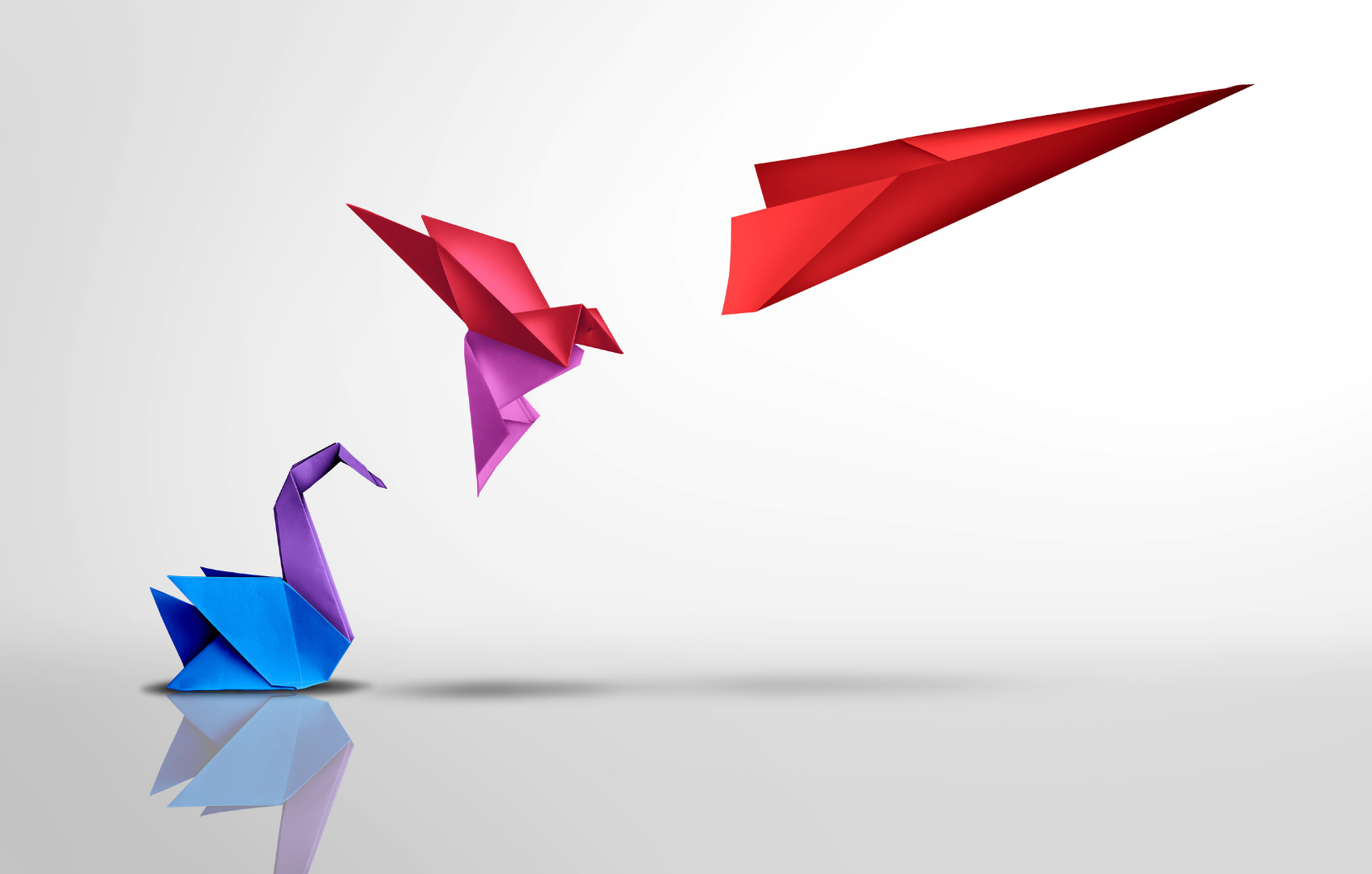Alignment, Creativity & Transformation
