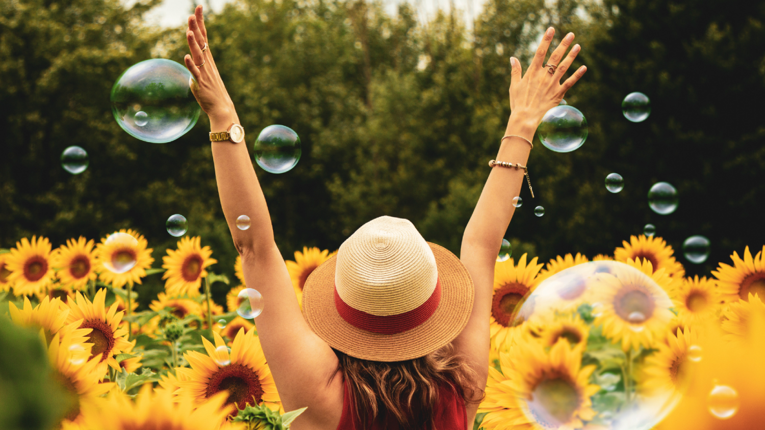 Courage, Momentum & The Freedom Framework