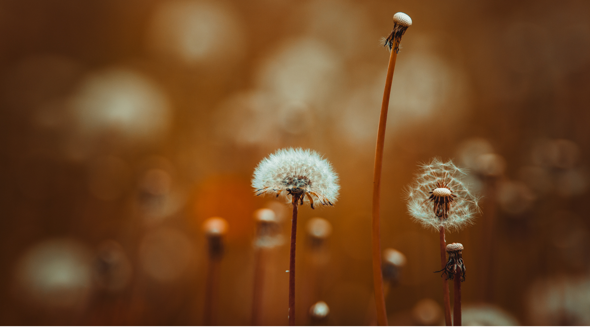 Resolutions, Secrets & Improvement